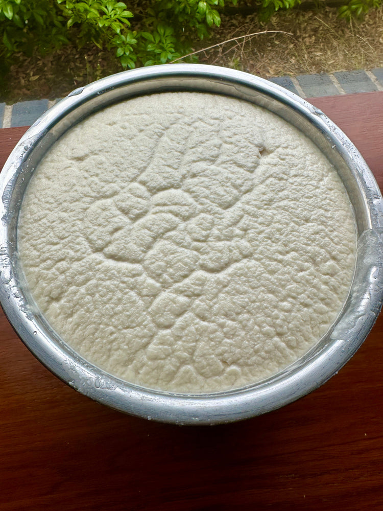 My go-to Idli Dosa Batter